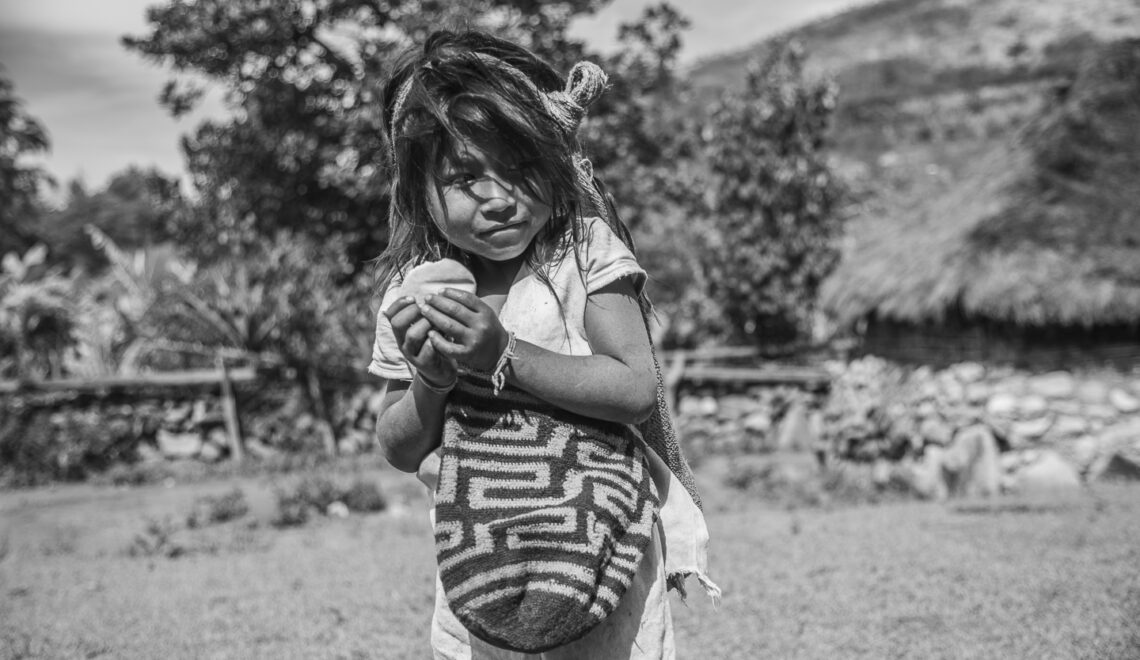 En Colombia, existen alrededor de medio millón de niños menores de cinco años que sufren de desnutrición crónica y alrededor de quince mil con desnutrición aguda, según la última Encuesta Nacional de Situación Nutricional de Colombia.
Sierra Nevada, Colombia, 14 de septiembre , 2018